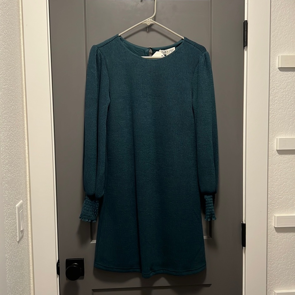 NWT- great green dress for the fall and winter season